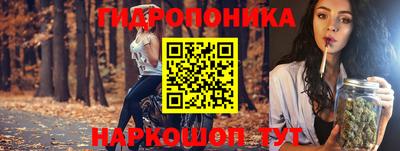 соль ск Будённовск