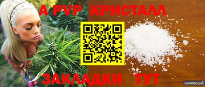 соль ск Будённовск