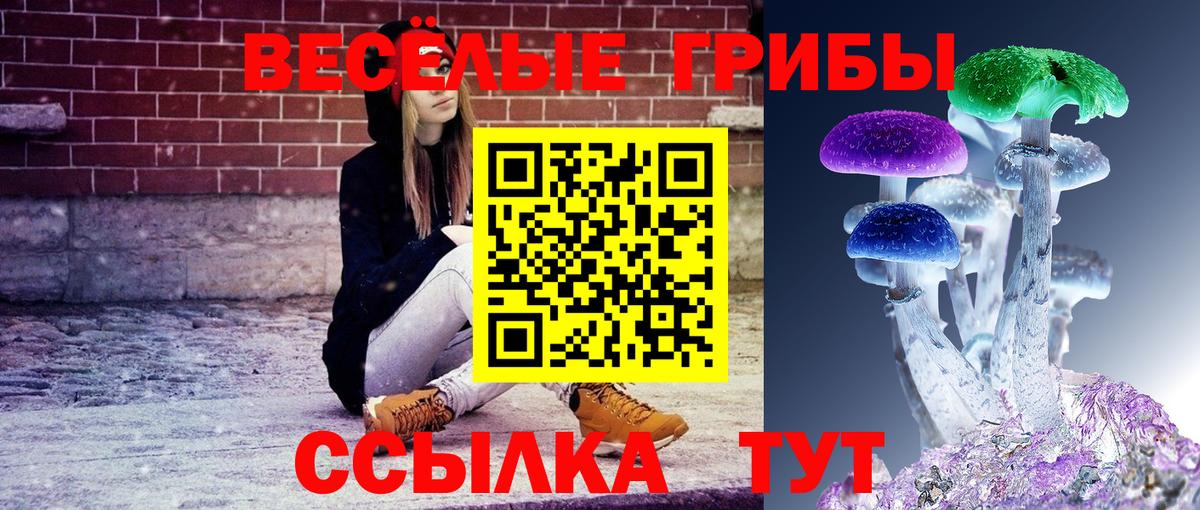 Галлюциногенные грибы Psilocybe  Вход с VPN  Красноперекопск 